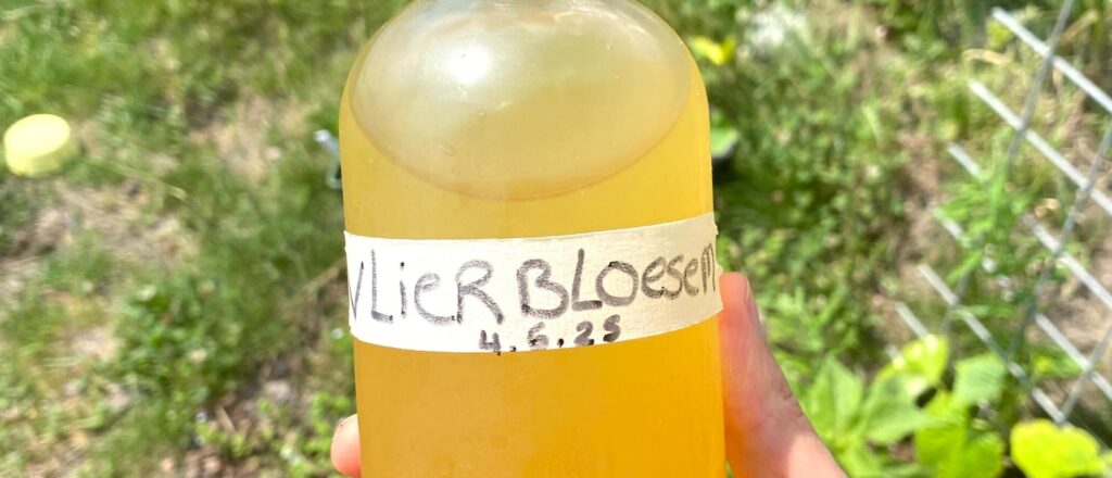 vlierbloesemsiroop recept 2560x1100 2141 920